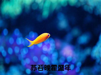 苏若晚霍盛年今日更新最新章节苏若晚霍盛年在线阅读