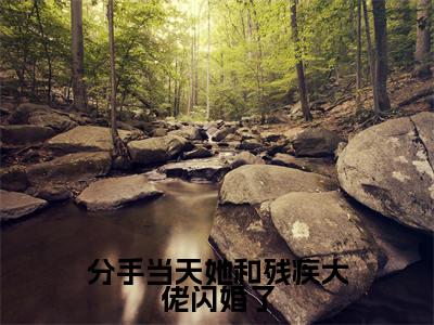 分手当天她和残疾大佬闪婚了免费小说谢清辉苏若晚全文完整版阅读