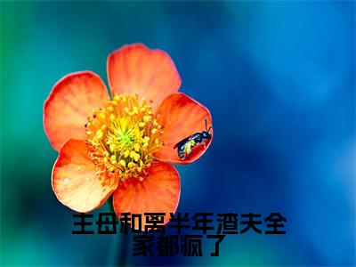 主母和离半年渣夫全家都疯了已完结小说全集阅读（李长英周棠宁完整版大结局）主母和离半年渣夫全家都疯了小说全文阅读笔趣阁