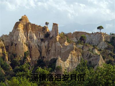 深情落海岁月沉免费阅读（悠然济源周）完整版全文全章节阅读（悠然济源周免费+番外）