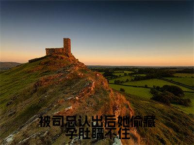 被司总认出后她偷藏孕肚瞒不住全文（司祁白姜眠眠）全文免费阅读无弹窗大结局_司祁白姜眠眠全文免费阅读最新章节列表