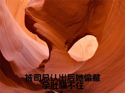 （全文）+（番外）司祁白姜眠眠小说免费阅读-被司总认出后她偷藏孕肚瞒不住司祁白姜眠眠小说在哪里可以看