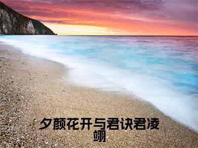 蓝羽裳君凌翊（夕颜花开与君诀君凌翊）全文免费阅读无弹窗大结局_（蓝羽裳君凌翊小说全文免费阅读）最新章节列表