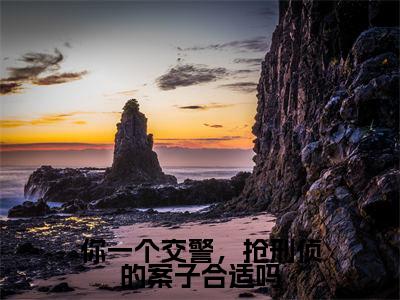 小说（你一个交警，抢刑侦的案子合适吗）_徐麟全文阅读_你一个交警，抢刑侦的案子合适吗免费阅读大结局