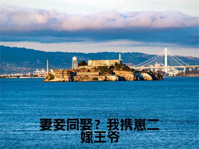 妻妾同娶？我携崽二嫁王爷（沈清墨小说）全文免费阅读无弹窗大结局_（沈清墨小说）妻妾同娶？我携崽二嫁王爷最新章节列表