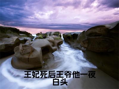 王妃死后王爷他一夜白头（容云殇苏幼微）全文免费阅读无弹窗大结局_王妃死后王爷他一夜白头_笔趣阁（容云殇苏幼微）