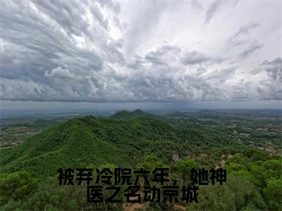 叶倾城免费阅读无弹窗大结局，被弃冷院六年，她神医之名动京城最新章节