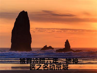 被弃冷院六年，她神医之名动京城小说全文免费阅读（叶倾城）全文免费阅读无弹窗大结局