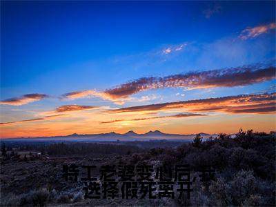 许远舟江雪曦小说（特工老婆变心后,我选择假死离开）全文免费阅读无弹窗大结局_许远舟江雪曦小说最新章节列表