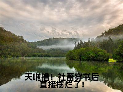后续+全集肖倾宇司念（完整版）热文小说阅读-肖倾宇司念全文抖音热推
