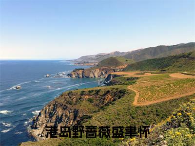 港岛野蔷薇盛聿怀（鱼青影盛聿怀）全文免费阅读无弹窗大结局_（港岛野蔷薇盛聿怀）最新章节列表_鱼青影盛聿怀