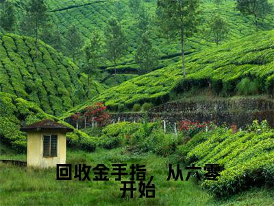 回收金手指，从六零开始热文小说全文阅读-精彩美文方圆免费阅读