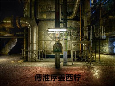 傅淮序姜西柠小说无弹窗（姜西柠傅淮序）全文免费阅读无弹窗大结局_姜西柠傅淮序最新章节列表_笔趣阁