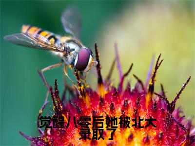 觉醒八零后她被北大录取了（宋昭禾陆琮）全文免费阅读无弹窗大结局_（觉醒八零后她被北大录取了）宋昭禾陆琮最新章节列表_笔趣阁