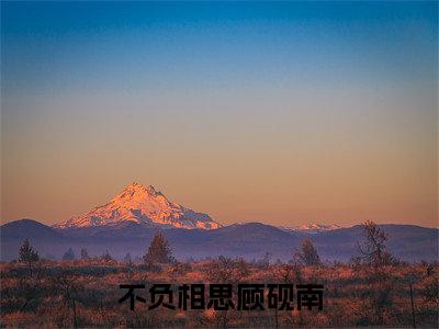 不负相思顾砚南小说在线阅读（顾砚南）全文免费阅读大结局_不负相思顾砚南最新章节列表笔趣阁