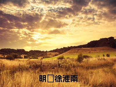 明晞徐淮南全文免费阅读无弹窗大结局_（徐淮南明晞）明晞徐淮南热门章节在线阅读笔趣阁（徐淮南明晞）