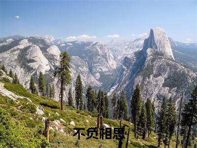 不负相思（顾砚南）全文免费阅读无弹窗_不负相思（顾砚南小说完整版）最新章节列表