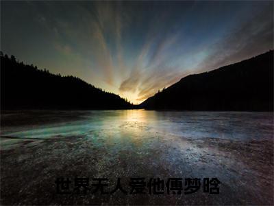 世界无人爱他傅梦晗（沈绍钧傅梦晗）小说全文免费阅读无弹窗大结局_（沈绍钧傅梦晗免费阅读）世界无人爱他傅梦晗最新章节列表笔趣阁