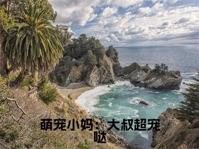 萌宠小妈：大叔超宠哒（白悠）小说免费阅读在线阅读_萌宠小妈：大叔超宠哒全文免费阅读_笔趣阁