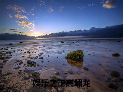 娱乐之王高啸龙（高啸龙）小说全文-娱乐之王高啸龙小说免费阅读大结局