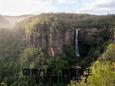做鬼八年：嫡女重生，仇家祖坟铲平了全文免费阅读大结局_苏烨魏卿玖已完结全集做鬼八年：嫡女重生，仇家祖坟铲平了大结局小说
