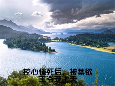 黎清欢萧九思（挖心惨死后，被禁欲王爷宠上天）全文免费阅读_挖心惨死后，被禁欲王爷宠上天最新章节小说免费阅读_笔趣阁黎清欢萧九思