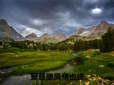 爱意随风情也终全文免费在线阅读_（姜逸年傅茹雪免费阅读无弹窗）爱意随风情也终全文免费完结版阅读