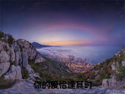 热文（你的爱恰逢其时）美文阅读_热门小说你的爱恰逢其时主人公是（林初晴贺以沉）完整版最新小说大结局_笔趣阁
