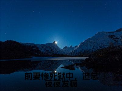 前妻惨死狱中，渣总夜夜发疯小说主角叫什么沈青禾路闻舟全文免费阅读大结局