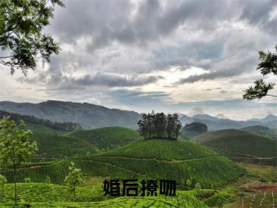婚后撩吻小说最新章节在线阅读_婚后撩吻在线阅读