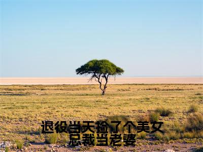 楚飞：退役当天捡了个美女总裁当老婆阅读无弹窗大结局_（楚飞阅读无弹窗）最新章节列表_笔趣阁（楚飞）