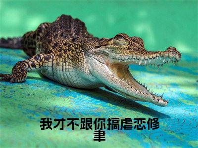 我才不跟你搞虐恋修聿全文小说（陆箴言修聿）在线阅读无弹窗大结局_陆箴言修聿全文在线阅读无弹窗