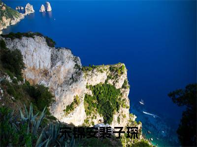 宋锦安裴子琛（裴子琛宋锦安）小说在线阅读_宋锦安裴子琛全本免费小说阅读（裴子琛宋锦安）