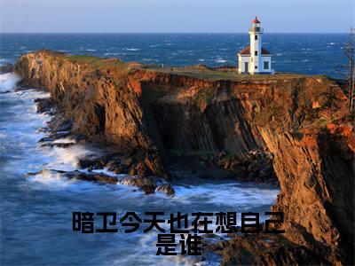 暗卫今天也在想自己是谁小说（周谨之）全文免费阅读无弹窗大结局_（周谨之免费阅读）最新章节列表_笔趣阁（周谨之）