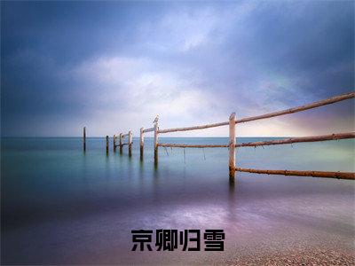 京卿归雪全文免费阅读_（陆珩礼阮宜棠免费阅读无弹窗）京卿归雪最新章节列表笔趣阁