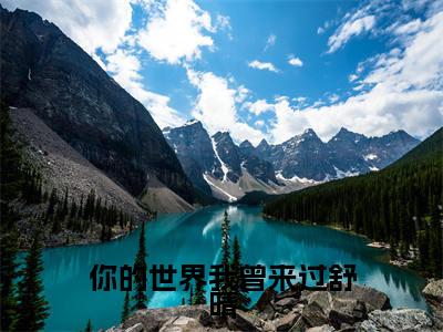 主角是凌衍舒晴的小说叫什么名字你的世界我曾来过舒晴小说免费阅读