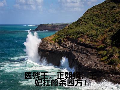 南宫卿小说在线阅读医残王，正朝纲，王妃扛枪杀四方！无广告小说免费在线阅读