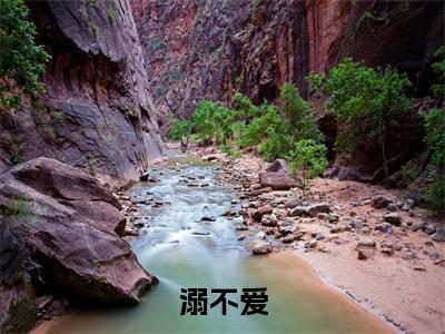 （免费）+（全文）溺不爱（夏蝉任慎）免费阅读最新章节无弹窗夏蝉任慎完整版小说在线阅读