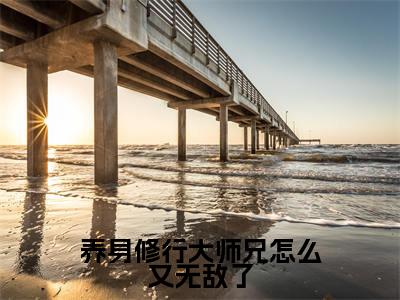 苏阳：养身修行大师兄怎么又无敌了阅读无弹窗大结局_（苏阳阅读无弹窗）最新章节列表_笔趣阁（苏阳）