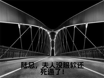 陆铮沈沐漓全文免费阅读无弹窗大结局_（陆总，夫人没服软还死遁了！阅读无弹窗）陆总，夫人没服软还死遁了！最新章节列表
