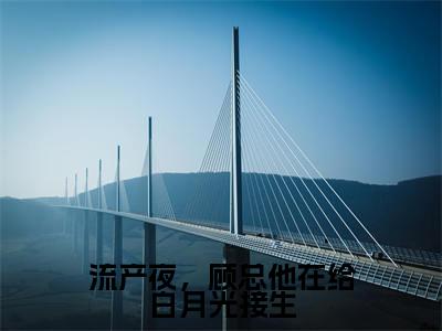 流产夜，顾总他在给白月光接生（顾斯忱宁沐）小说全文小说免费阅读_流产夜，顾总他在给白月光接生最新章节列表笔趣阁（顾斯忱宁沐）