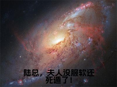 陆总，夫人没服软还死遁了！全文免费阅读无弹窗大结局，陆铮沈沐漓小说最新章节