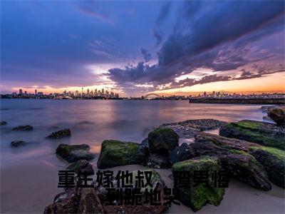 沈眠音顾淮之（重生嫁他叔，渣男悔到跪地哭）全文免费阅读无弹窗大结局_重生嫁他叔，渣男悔到跪地哭免费最新章节列表_笔趣阁