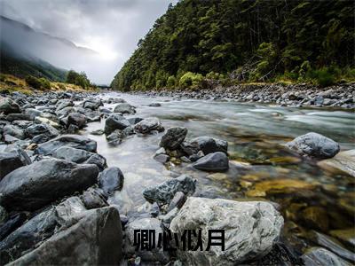 卿心似月（钟筱周辞）全文免费阅读-（钟筱周辞无弹窗阅读）最新章节小说免费阅读