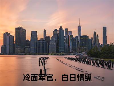 冷面军官，白日情纵高甜小说最新章节-浔苑全文阅读
