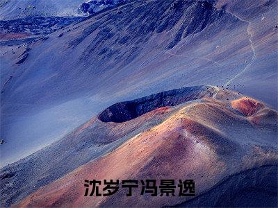 冯景逸沈岁宁小说（沈岁宁冯景逸）全文免费读无弹窗大结局_冯景逸沈岁宁小说免费阅读-笔趣阁（沈岁宁冯景逸）