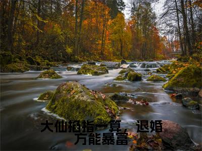 时光小说（大仙掐指一算，退婚方能暴富）全文免费阅读无弹窗大结局_时光（大仙掐指一算，退婚方能暴富）最新章节列表