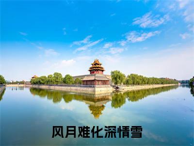 风月难化深情雪（南意谢青泽）免费小说-南意谢青泽全文阅读目录