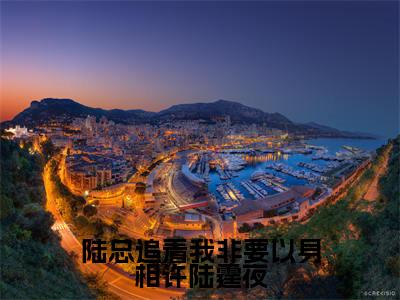 沈芊芊陆霆夜（陆总追着我非要以身相许陆霆夜）在线阅读的小说完整版-陆总追着我非要以身相许陆霆夜（沈芊芊陆霆夜）小说免费阅读