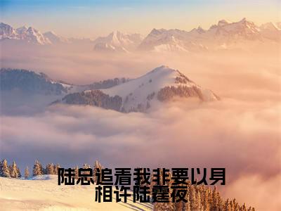 沈芊芊陆霆夜最新章节（陆总追着我非要以身相许陆霆夜小说）全文免费阅读无弹窗大结局_陆总追着我非要以身相许陆霆夜小说免费阅读（沈芊芊陆霆夜）